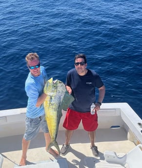 Mahi Mahi Fishing in Islamorada, Florida