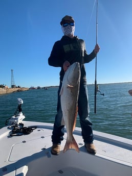 Fishing in Galveston, Texas