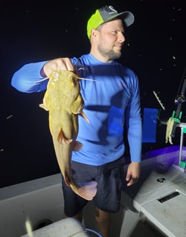 Flathead Catfish fishing in Dallas, Texas