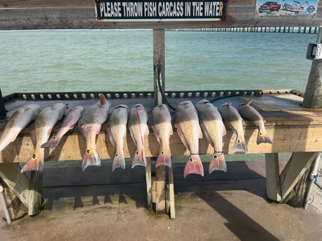 Redfish Fishing in Rockport, Texas