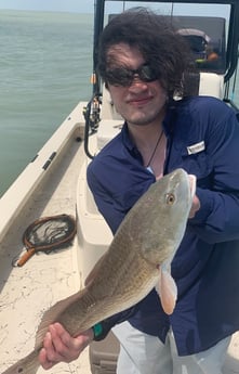 Redfish fishing in South Padre Island, Texas