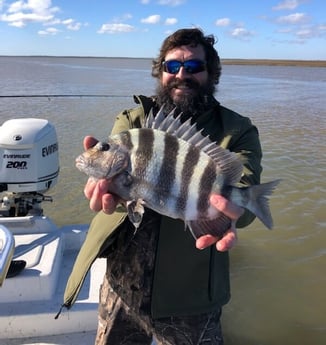 Sheepshead fishing in Surfside Beach, Texas