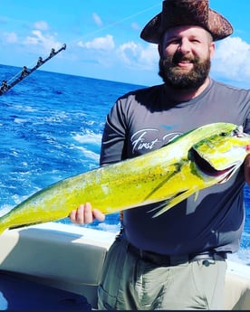 Mahi Mahi / Dorado Fishing in Freeport, Texas