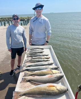 Redfish, Speckled Trout Fishing in Galveston, Texas