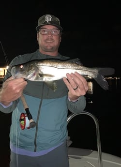 Snook fishing in Jupiter, Florida