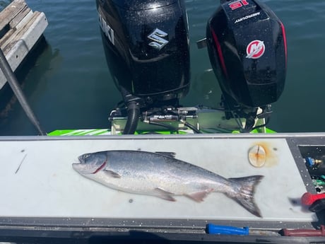 Chinook Salmon Fishing in Garibaldi, Oregon