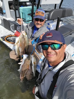 Redfish, Speckled Trout / Spotted Seatrout Fishing in Rio Hondo, Texas