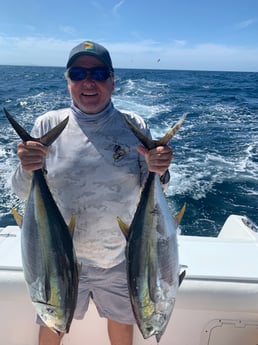 Yellowfin Tuna fishing in Rockport, Texas