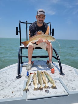 Redfish, Speckled Trout Fishing in South Padre Island, Texas