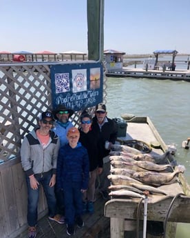 Sheepshead fishing in Corpus Christi, Texas