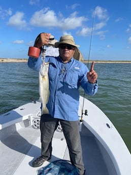 Speckled Trout / Spotted Seatrout fishing in Corpus Christi, Texas