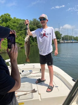 Sheepshead fishing in St. Petersburg, Florida