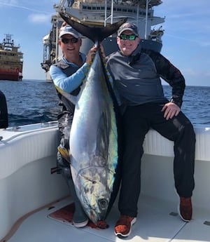 Yellowfin Tuna Fishing in Destin, Florida