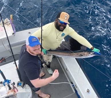 Sailfish fishing in Pompano Beach, Florida