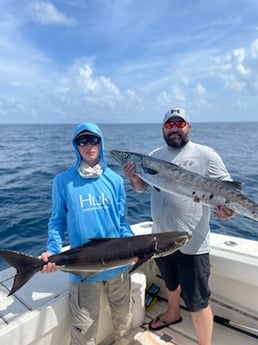 Barracuda, Cobia fishing in Galveston, Texas