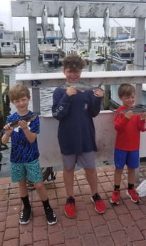 Spanish Mackerel fishing in Destin, Florida