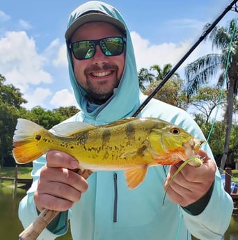 Peacock Bass fishing in Delray Beach, Florida