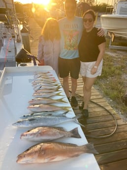 Mangrove Snapper, Spanish Mackerel, Yellowtail Snapper Fishing in Marathon, Florida