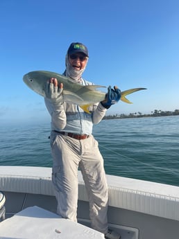 Jack Crevalle fishing in Naples, Florida