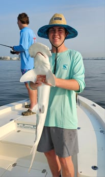 Bonnethead Shark Fishing in Mount Pleasant, South Carolina