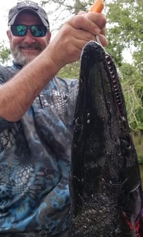 Alligator Gar fishing in Livingston, Texas