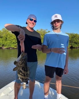 Sheepshead fishing in Naples, Florida