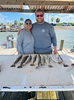 Speckled Trout / Spotted Seatrout fishing in Galveston, Texas