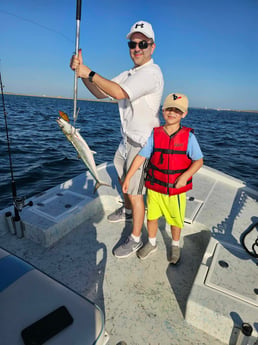 Kingfish Fishing in South Padre Island, Texas