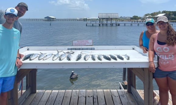 Spanish Mackerel fishing in Gulf Shores, Alabama