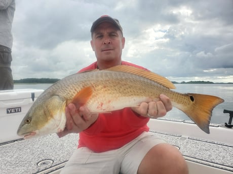 Redfish fishing in Mount Pleasant, South Carolina