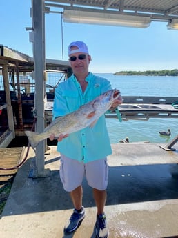 Speckled Trout / Spotted Seatrout fishing in Port O&#039;Connor, Texas