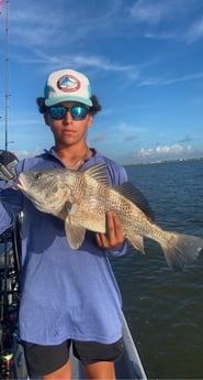 Black Drum fishing in Matagorda, Texas