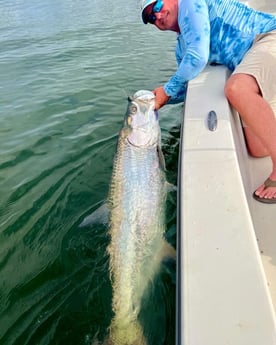 Tarpon fishing in Miami Beach, Florida