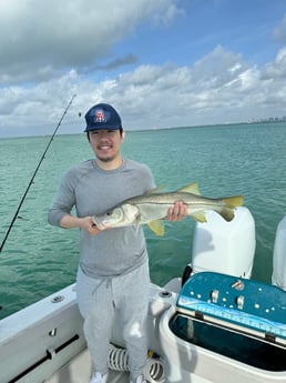 Fishing in Miami, Florida