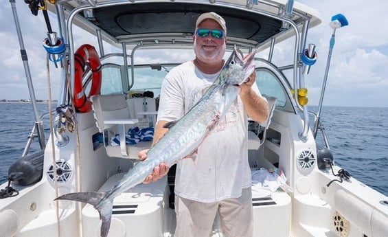 Kingfish Fishing in Boynton Beach, Florida