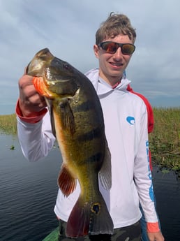 Peacock Bass Fishing in Delray Beach, Florida