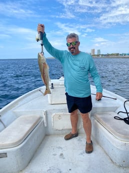 Redfish Fishing in Orange Beach, Alabama