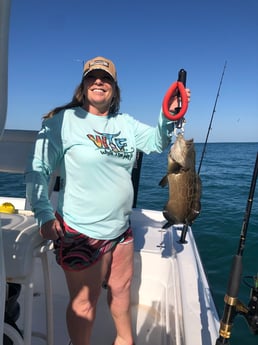 Red Grouper fishing in Key West, Florida