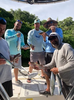 Mangrove Snapper, Spanish Mackerel fishing in St. Petersburg, Florida