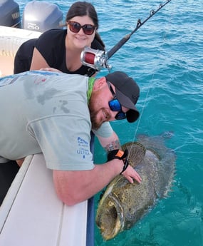 Goliath Grouper fishing in Clearwater, Florida