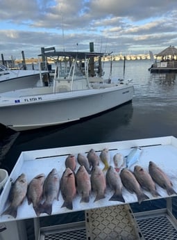 Fishing in Key West, Florida