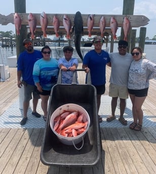 Cobia, Red Snapper Fishing in Orange Beach, Alabama