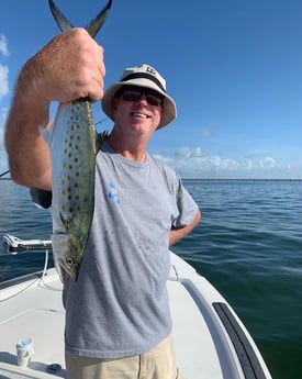 Spanish Mackerel fishing in Clearwater, Florida