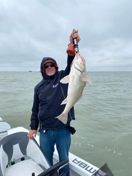 Black Drum Fishing in Corpus Christi, Texas