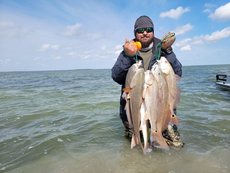 Redfish Fishing in Rio Hondo, Texas