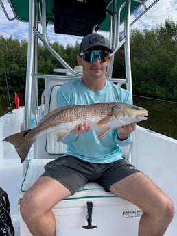 Redfish Fishing in Tampa, Florida