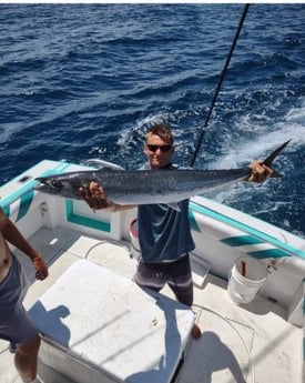 King Mackerel / Kingfish fishing in Pensacola, Florida