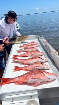 Red Snapper fishing in Santa Rosa Beach, Florida