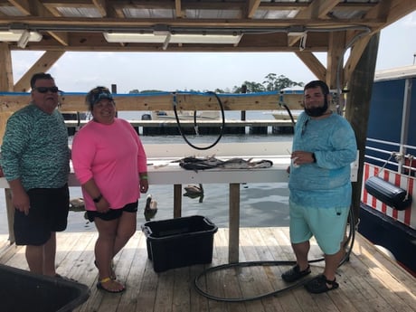 Fishing in Orange Beach, Alabama