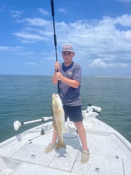 Jack Crevalle Fishing in Gulf Shores, Alabama